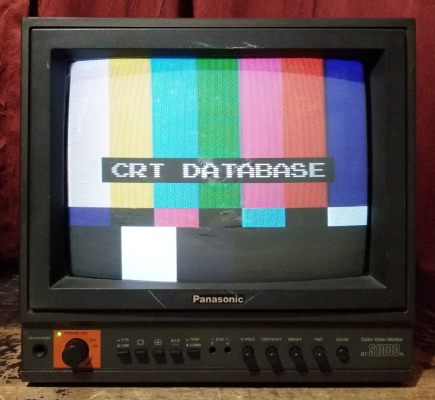 Panasonic BT-S1000N