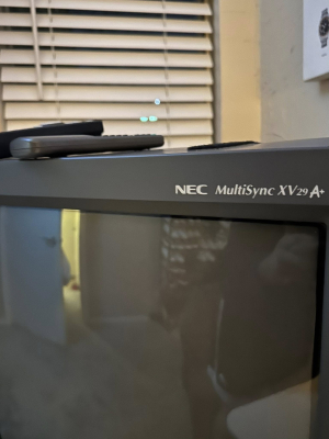 Click to view image in new tab NEC XV29A Plus (XV-2940)