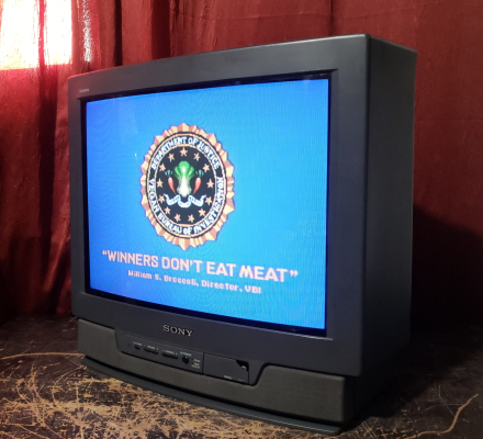 Sony KV-20TS32