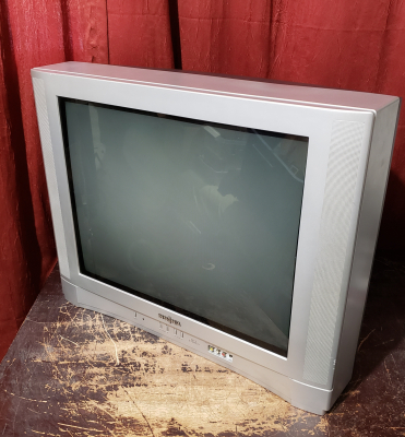 Insignia IS-TV040924