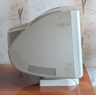 Iiyama Vision Master Pro 514 (HM204DT)