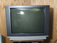 Sharp 36C231