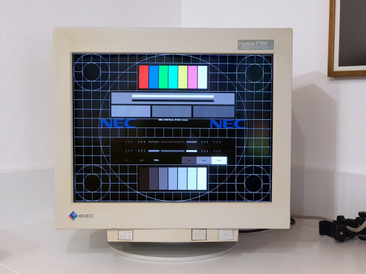 Eizo FLEXSCAN T966