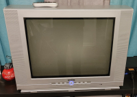 Insignia NS-24FTV