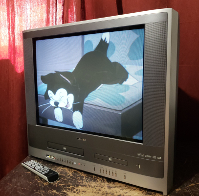 Toshiba MW24F52
