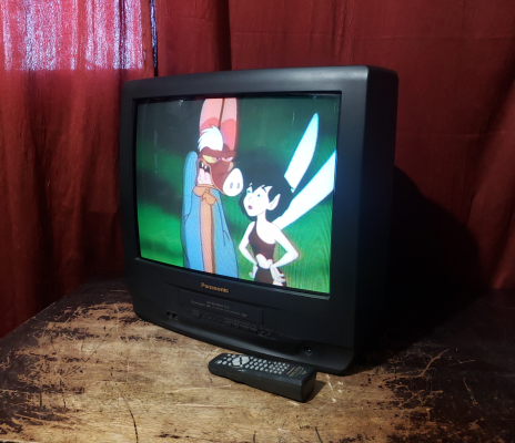 Panasonic PV-C2060