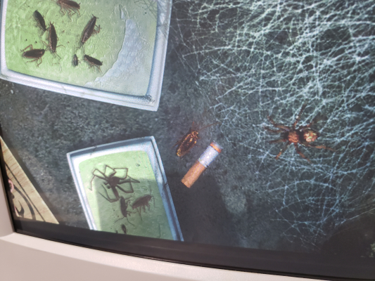 HP Pavilion S70 (D7480A)