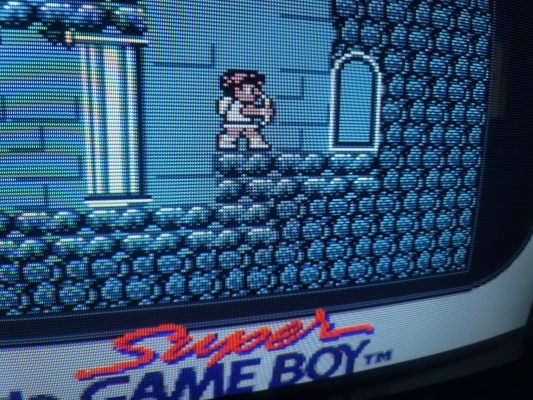 Bang & Olufsen Beovision MX5500 (NTSC)