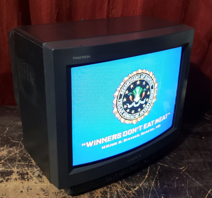 Sony KV-13TR24