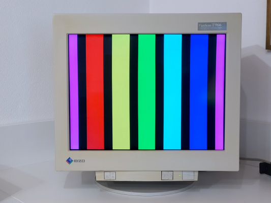 Eizo FLEXSCAN T966