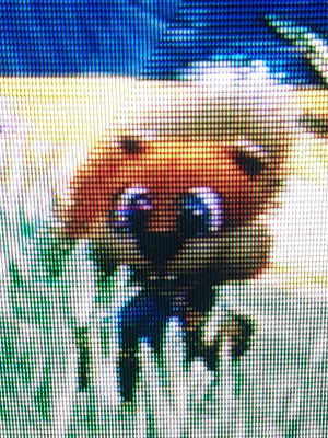 Click to view image in new tab Sony KV-19TS20