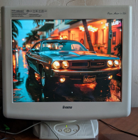 Iiyama Vision Master Pro 514 (HM204DT)